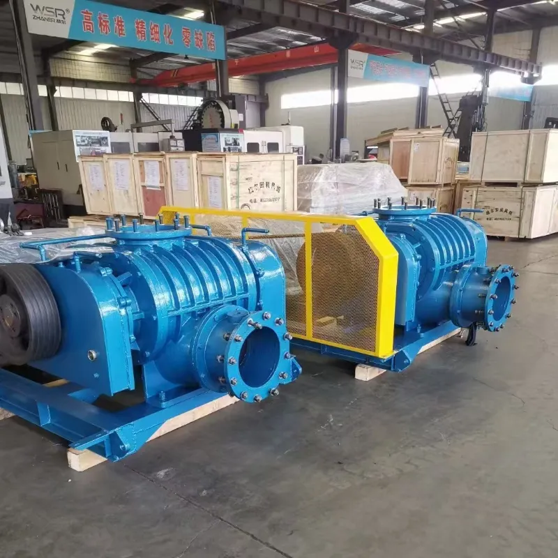 Positive Displacement Blower